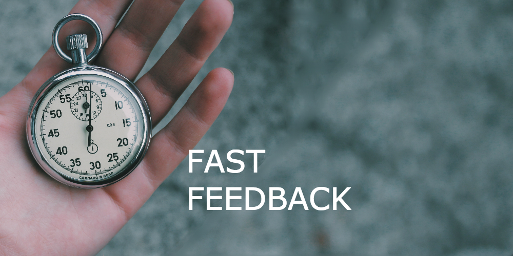 Fast Feedback Examples